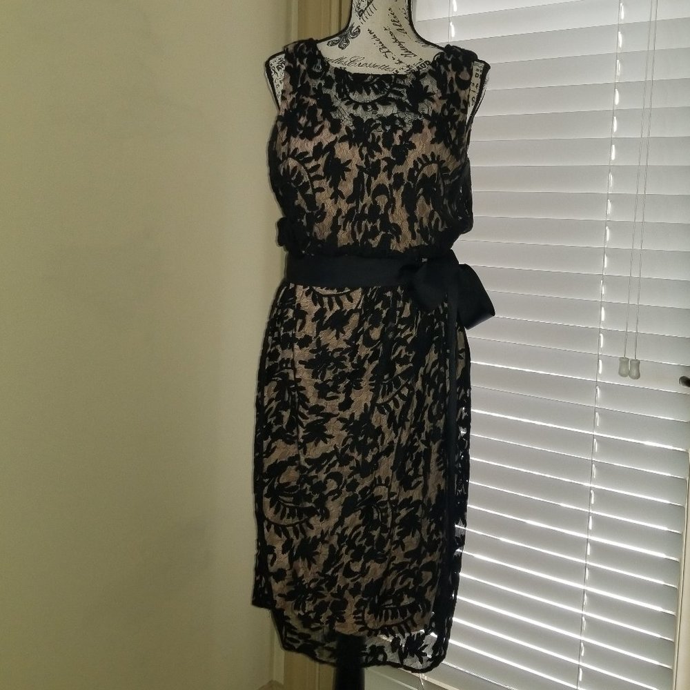 Adrianna Papell Gorgeous Lace Overlay LBD